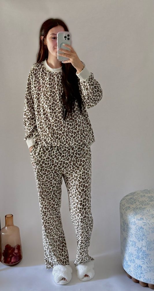 Cheetah Dreams Sweatset
