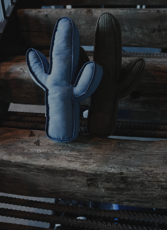 Kick A Cactus Pillow