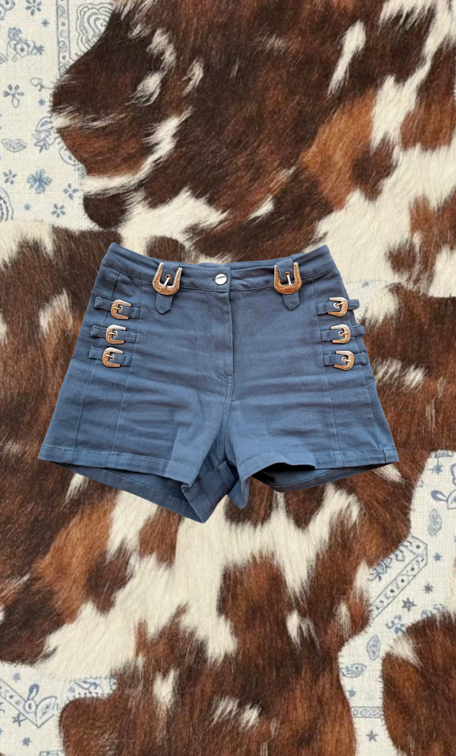 The Jesup Shorts